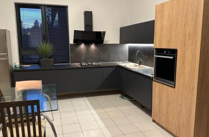 nearly repaired 9-room house for rent